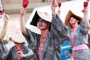 『 第57回 よさこい祭り 』<br><br>今回は「須賀連」で演舞。<br><br>撮影：白石 様