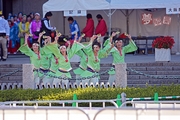 『 大阪マラソン沿道応援イベント 』<br><br>とにかく演舞は遠くて肉眼で見えません。（笑）<br><br>撮影：コテツ 様